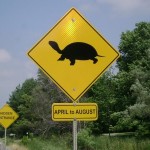 turtle_crossing_sign