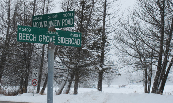 Mountainview Road and Beech Grove Sideroad