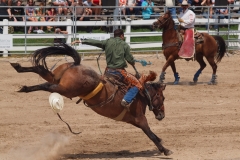 The Orangeville Dodge Rodeo Tour