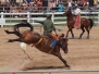 The Orangeville Dodge Rodeo Tour