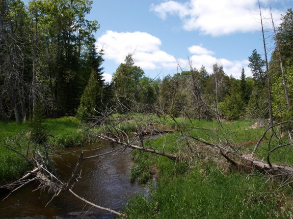 Humber River near Palgrave, Ontario