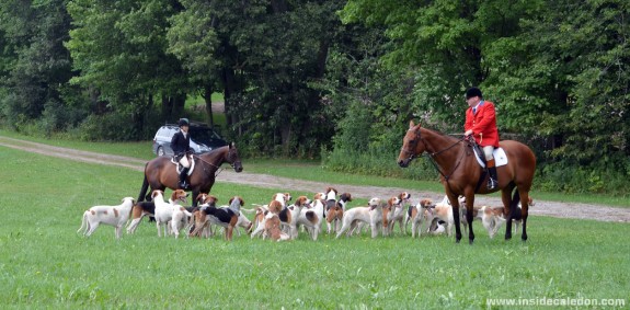 Mock Hunt in Caledon #1